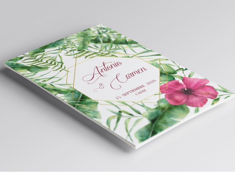 copy of Mountain fox notebook