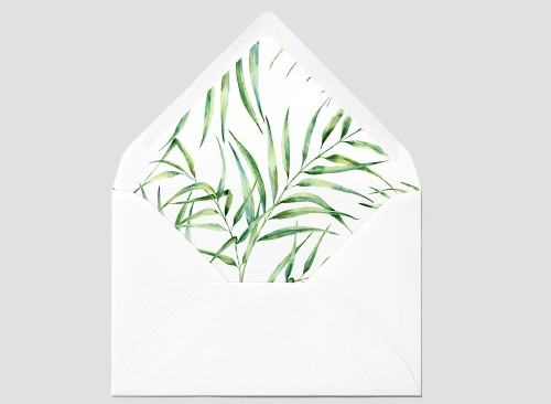 copy of Mountain fox notebook