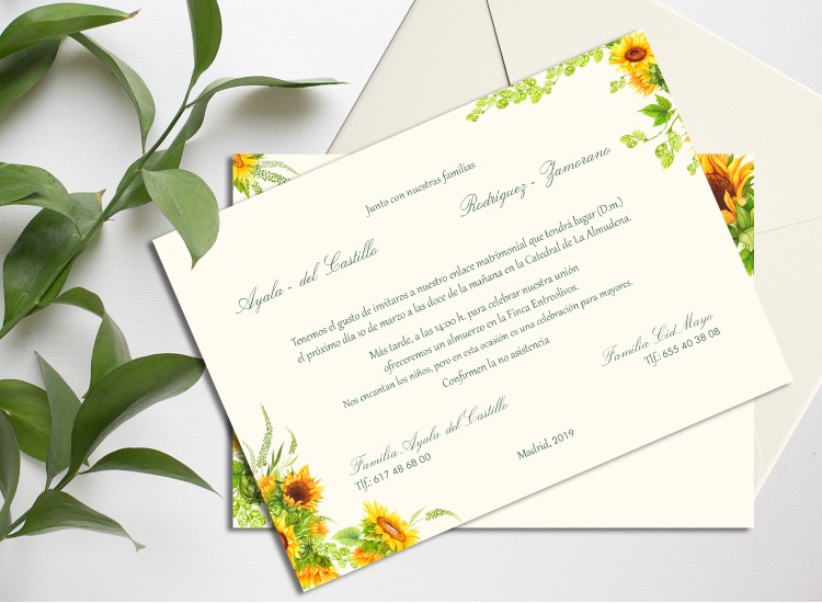 copy of Mountain fox notebook