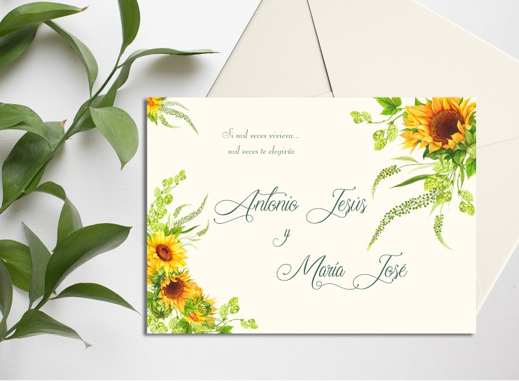 copy of Mountain fox notebook