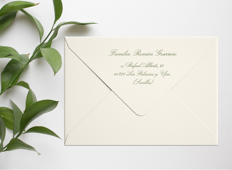 copy of Mountain fox notebook