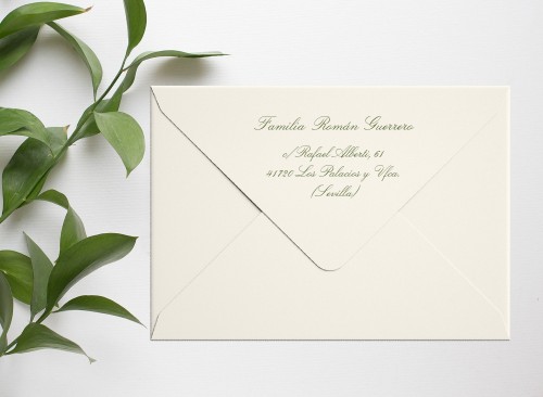 copy of Mountain fox notebook