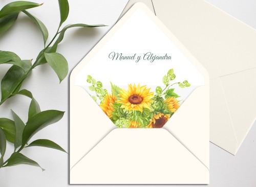 copy of Mountain fox notebook